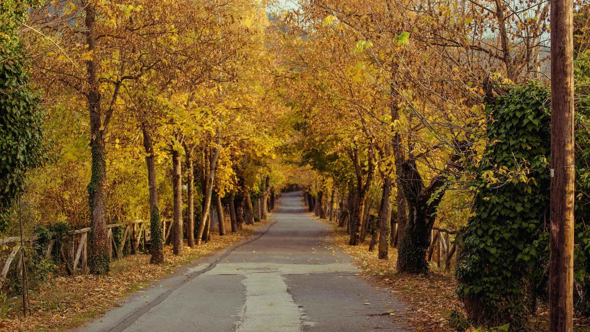 Path of Love - Vytina, Arcadia